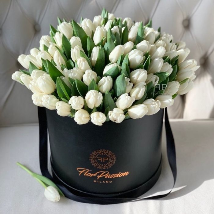 100 White Tulips FlorPassion Box