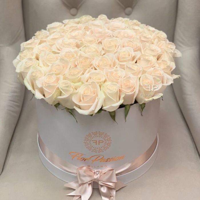 Champagne Roses